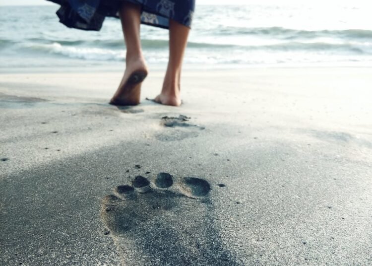 लक्ष्मीची पावलं..!