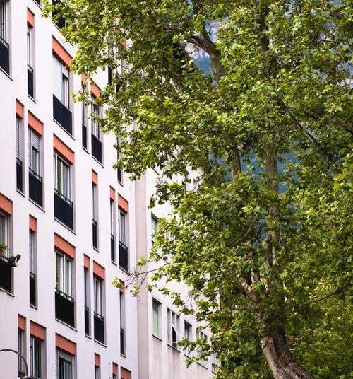 आणि अख्खं गाव जगवलं